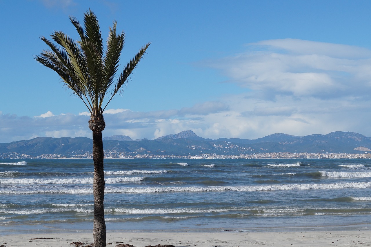 Charter Mallorca - Universal Hotel Neptuno, cu plecare din Craiova